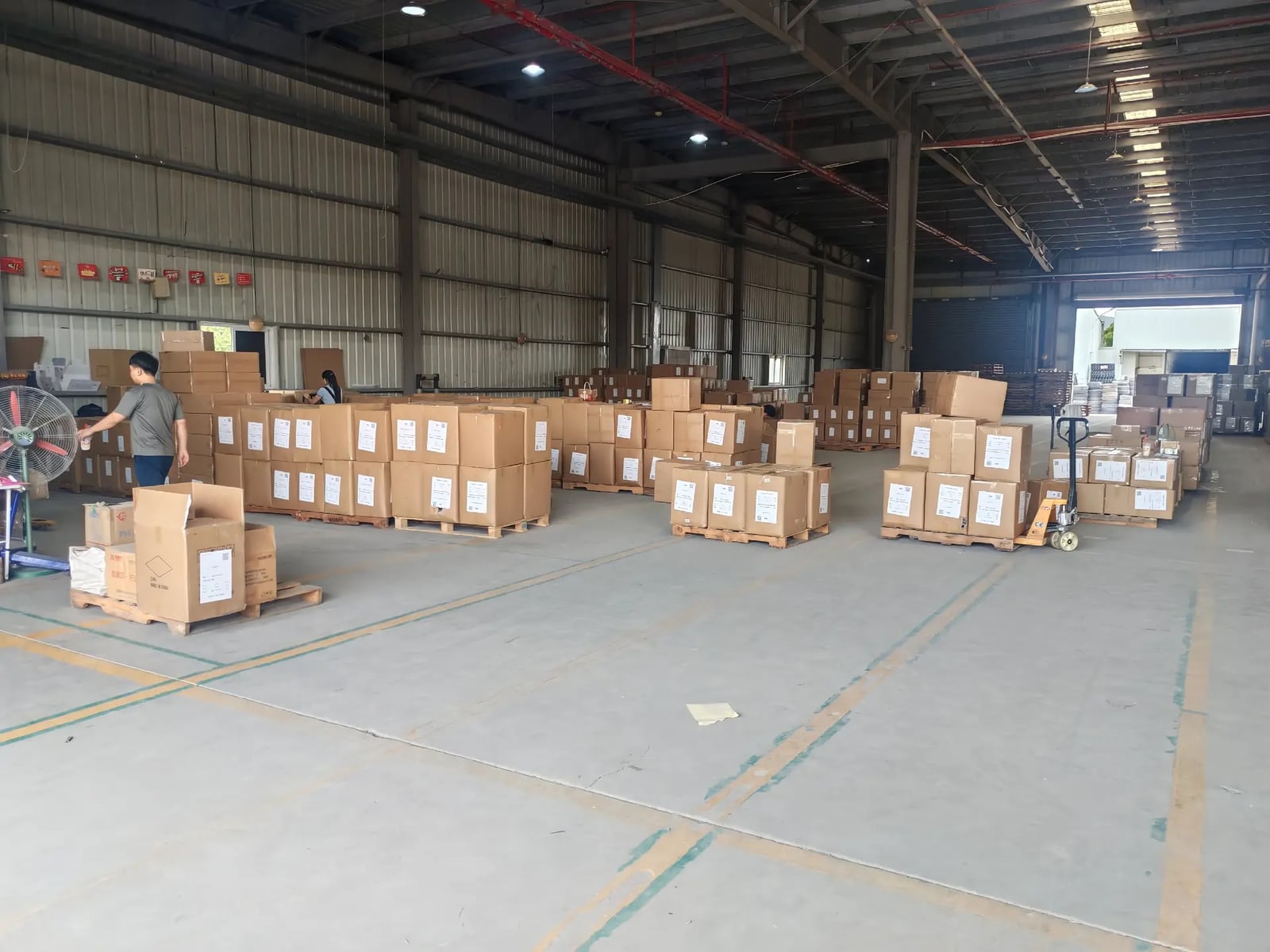 Packed export cartons organised on pallets inside the warehouse